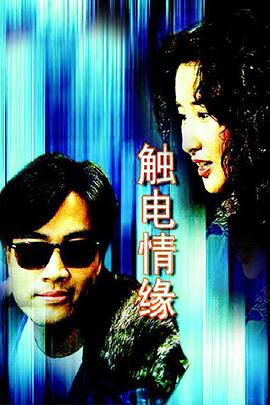 触电情缘国语(1991)海报