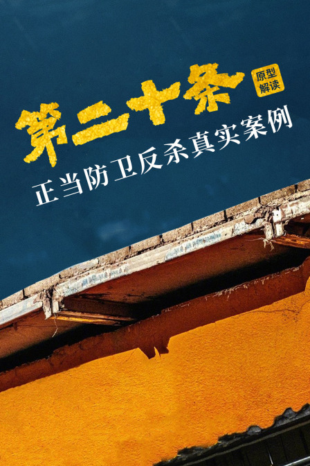 《第二十條》原型解讀:正當防衛反殺真實案例(2024)海報