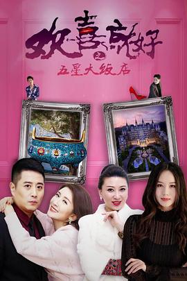 欢喜就好之五星大饭店(2019)海报