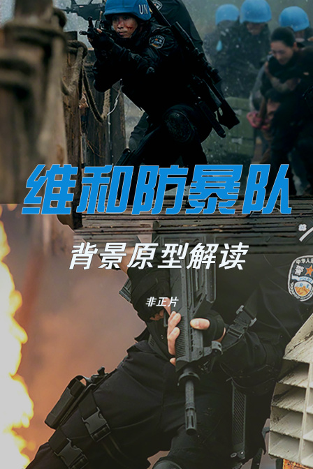 《維和防暴隊》背景原型解讀 非正片(2024)海報