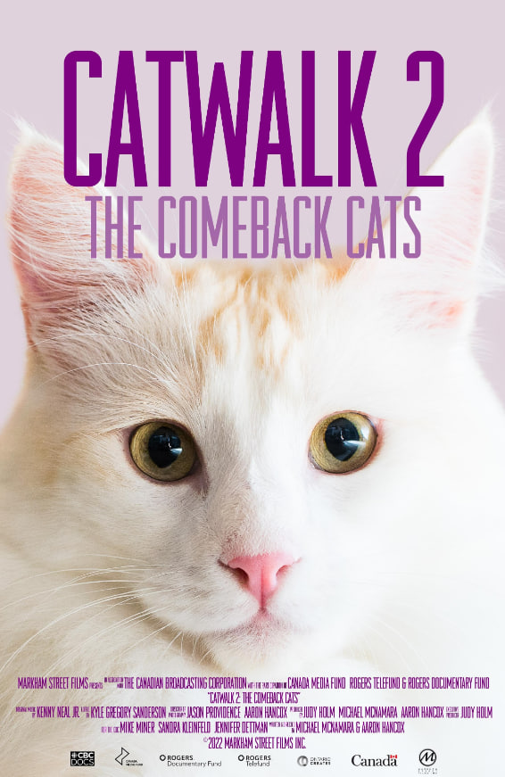 《猫步2回归的猫》(2022)海报
