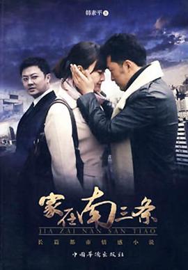 家在南三條(2011)海報