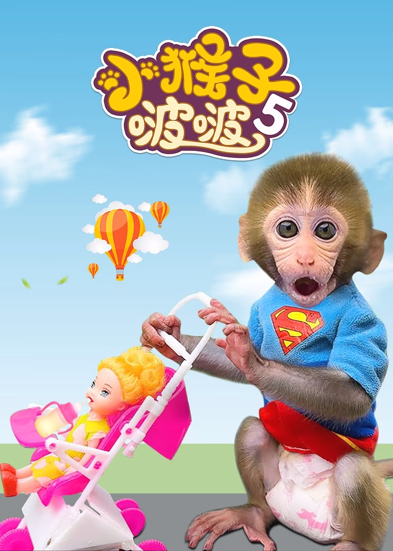 小猴子啵啵第五季海报