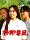 杨柳春风(2026)海报