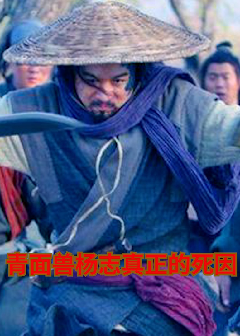 揭晓青面兽杨志真正的死因海报