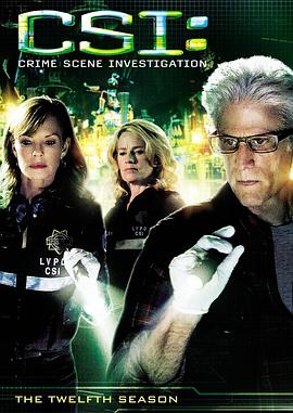 犯罪现场调查第十二季(2000)海报