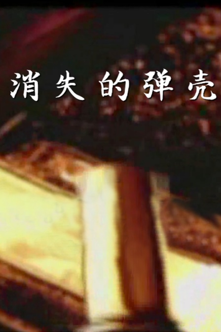 消失的弹壳(2023)海报