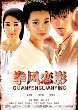 拳风恋影(2012)海报
