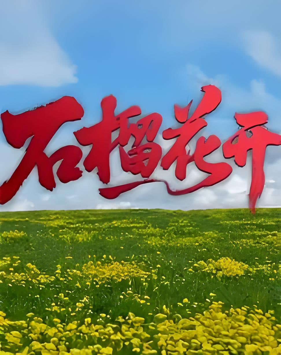 石榴花開(2026)海報