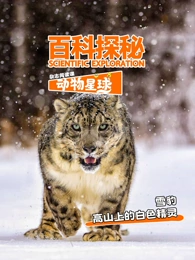 科探秘动物星球:高山上的白色精灵雪豹(2026)海报