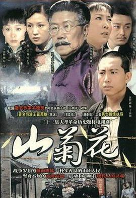 山菊花2007(2009)海报