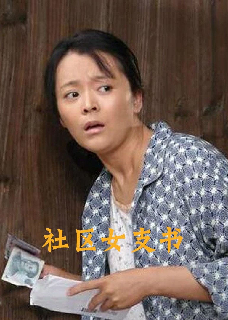 社区女支书(2011)海报