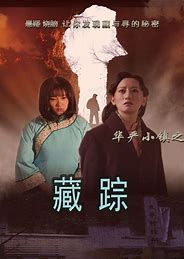 華嚴小鎮2之藏蹤(2016)海報