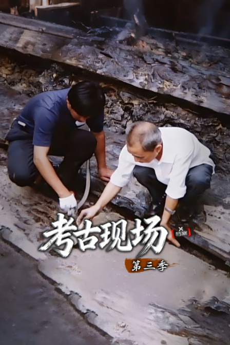 X檔案·考古現場第三季(2026)海報