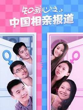 知我心之中國相親報道(2013)海報