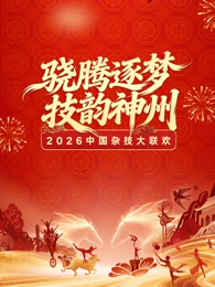 河南卫视2026中国杂技大联欢(2026)海报