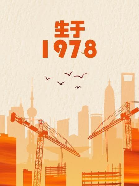 生于1978(2012)海报