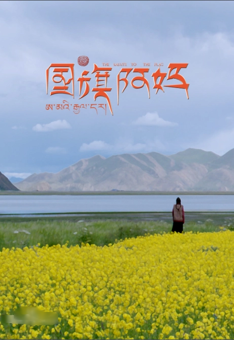 國旗阿媽(2013)海報