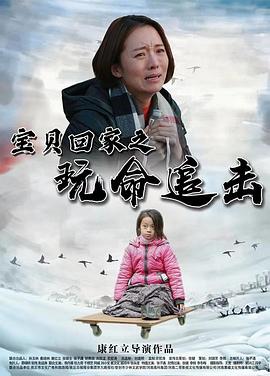 寶貝回家之玩命追擊(2024)海報