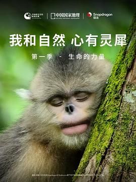 《我和自然 心有靈犀》第一季 - 生命的力量(2020)海報
