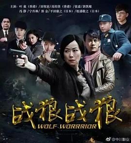 戰狼·戰狼(2017)海報