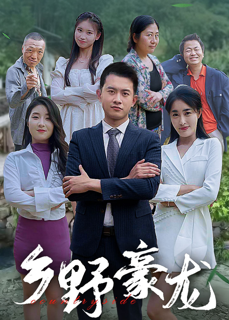 乡野豪龙海报