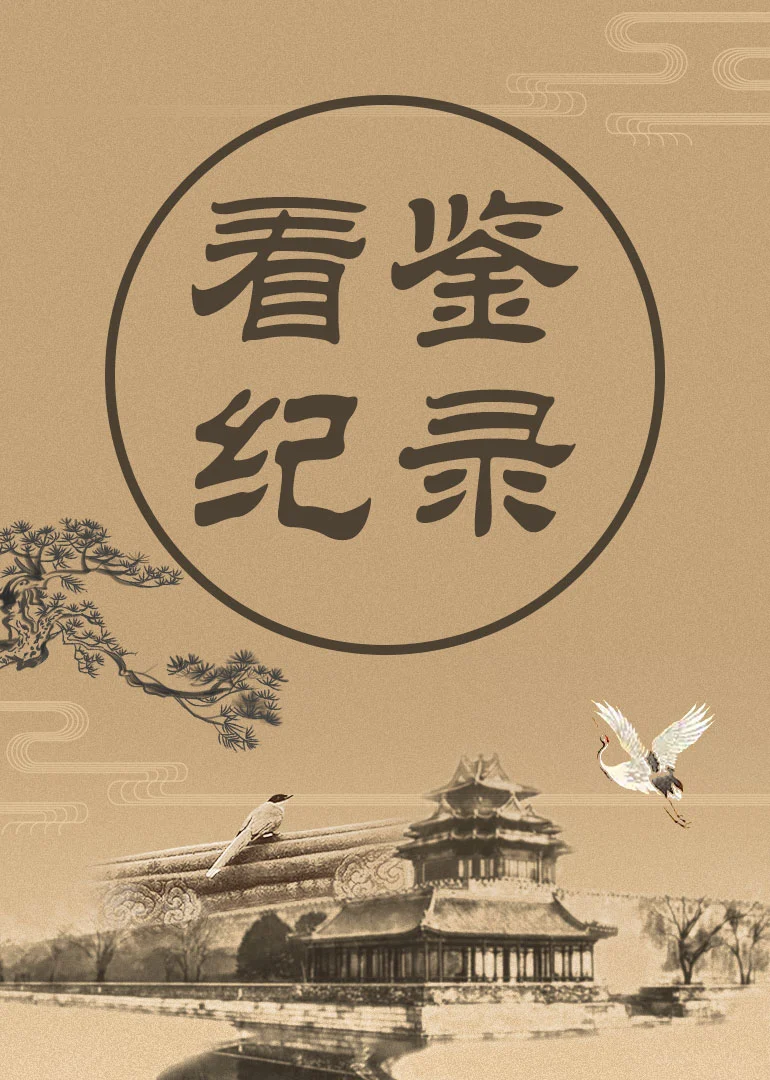 看鑑紀錄(2019)海報
