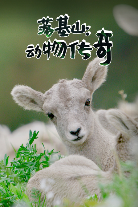 落基山:動物傳奇(2023)海報