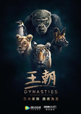 王朝第一季(2018)海報