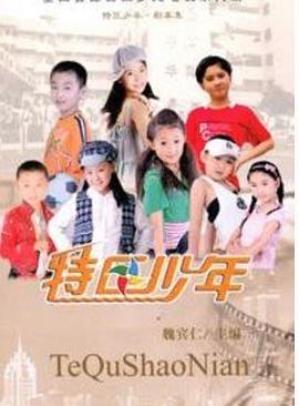 特区少年(2008)海报
