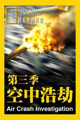 空中浩劫第三季(1985)海报
