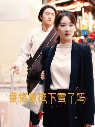 香格里拉下雪了吗(2025)海报