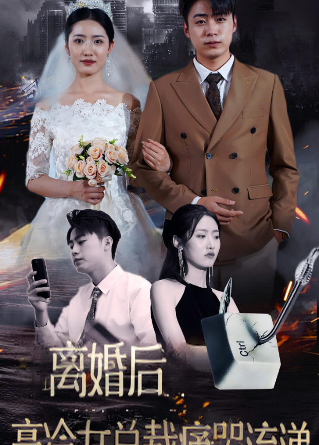 离婚后,高冷女总裁痛哭流涕海报