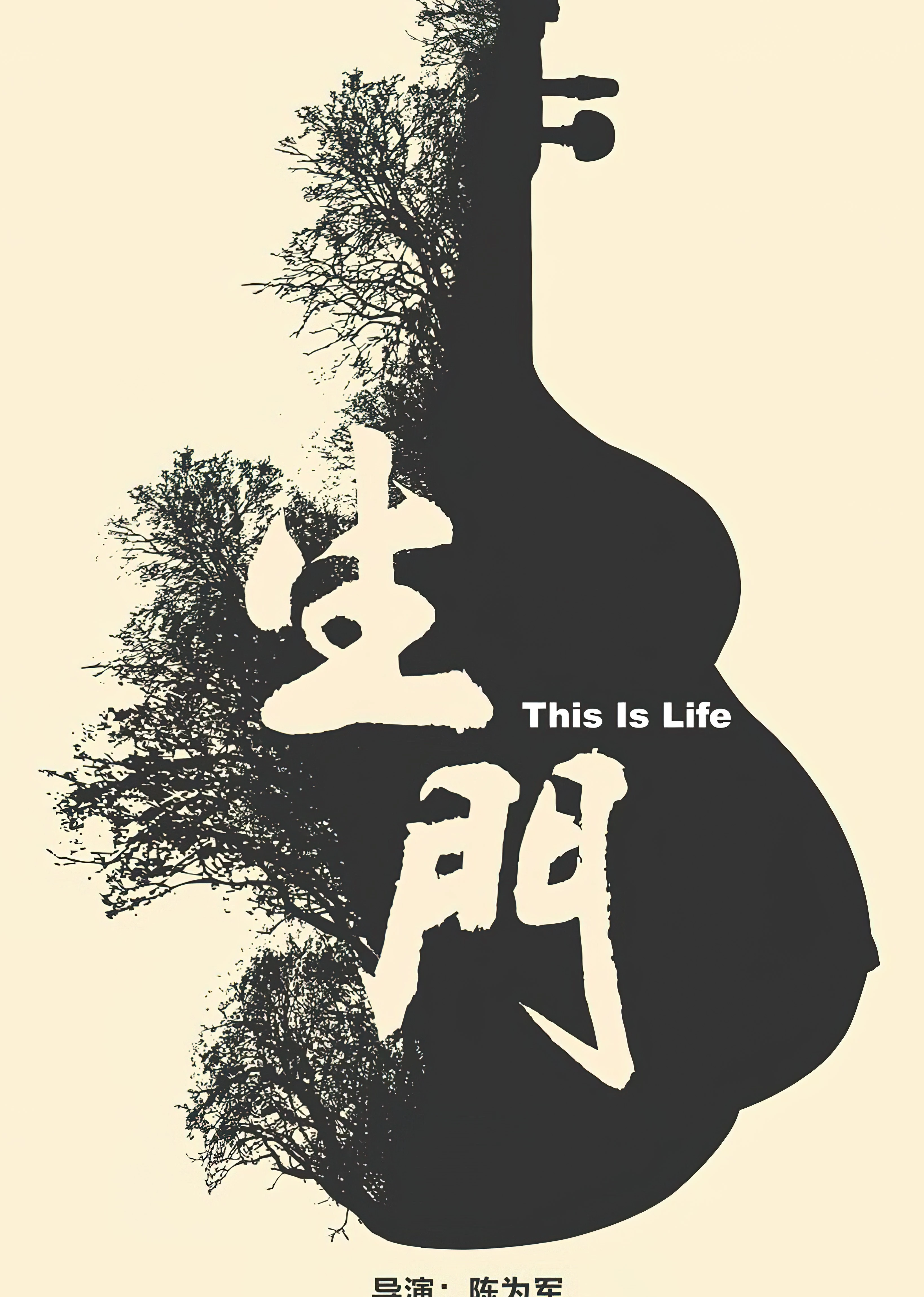 女人为了生个儿子一场手术险些丢掉生命海报