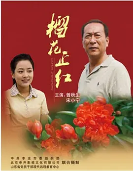 榴花正红(2011)海报