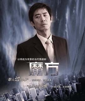 魔方2008(2008)海报