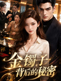 金镯子背后的秘密(2026)海报