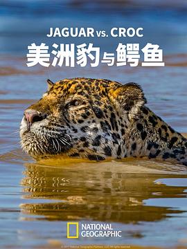 美洲豹與鱷魚(2017)海報