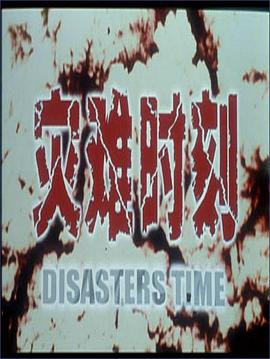 灾难时刻(2004)海报