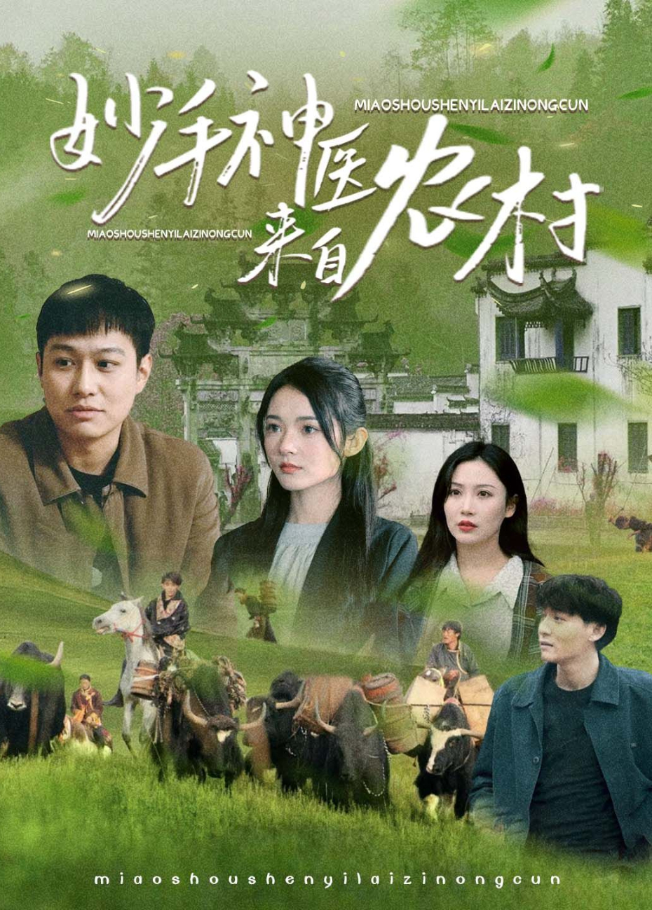 妙手神醫來自農村海報