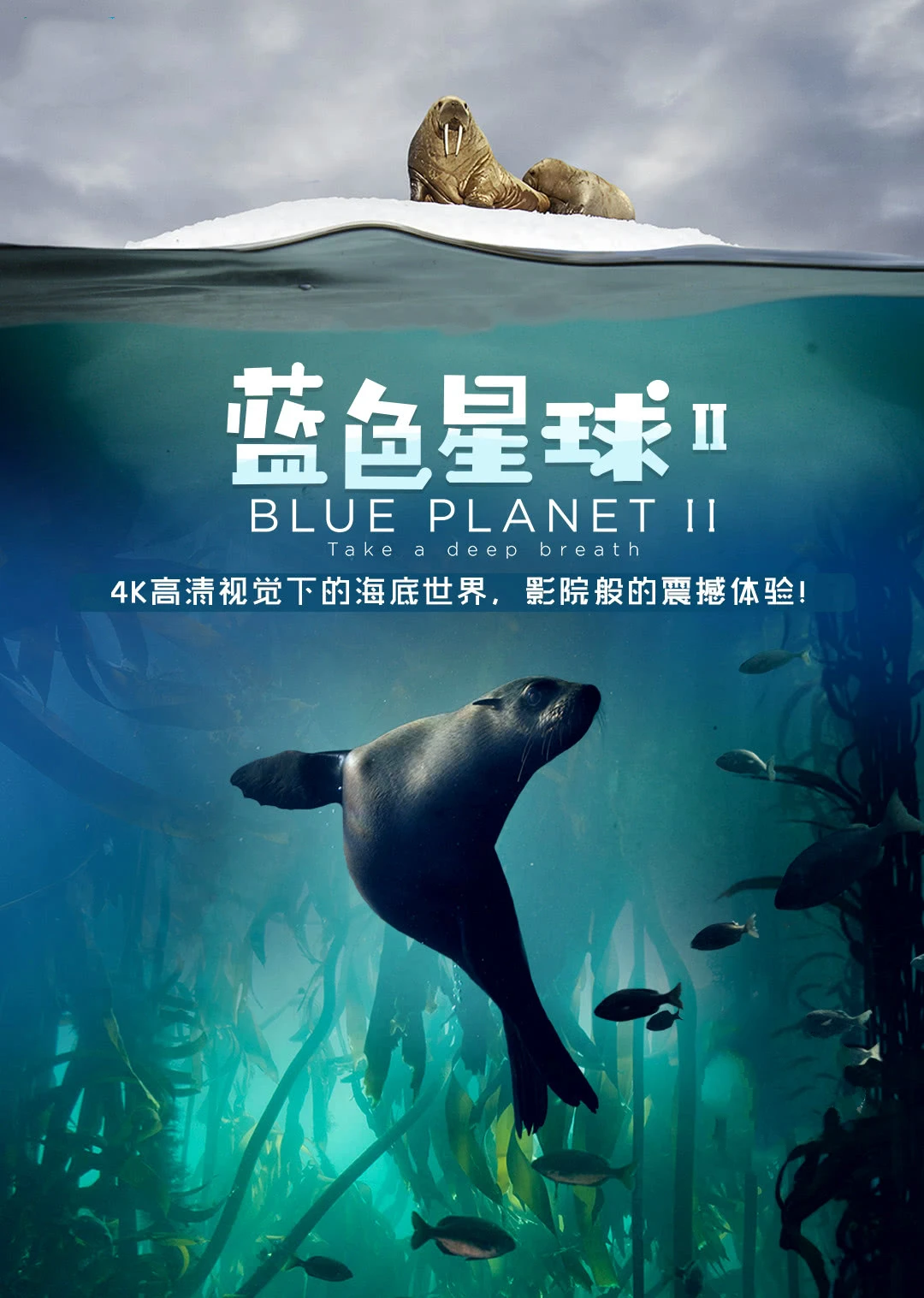 藍色星球第二季英語(2017)海報