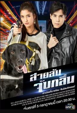 偵探K9普國語海報