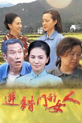 進錯門的女人(2019)海報