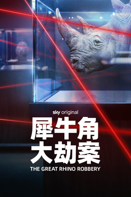 犀牛角大劫案(2025)海報