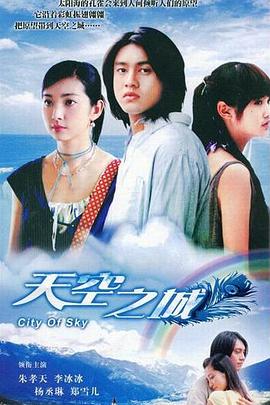 天空之城2004(2004)海報