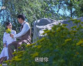 女人莲心(2012)海报