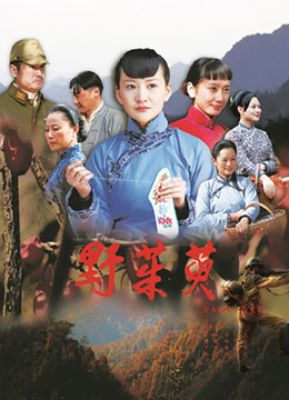 野茱萸(2009)海報