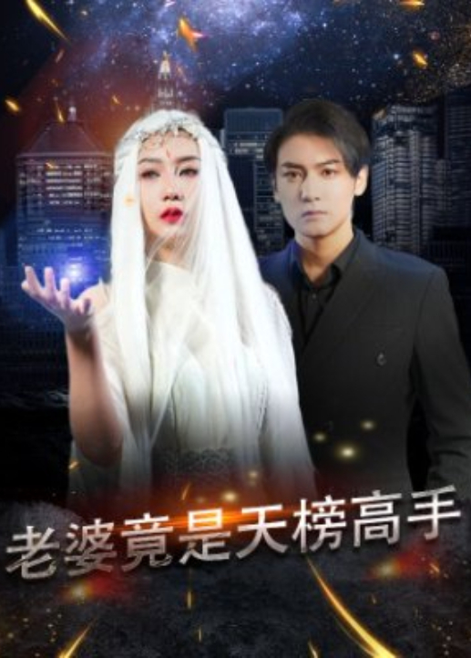 老婆竟是天榜高手海报