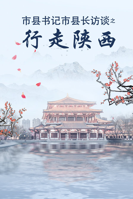 市縣書記市縣長訪談之行走陝西(2018)海報