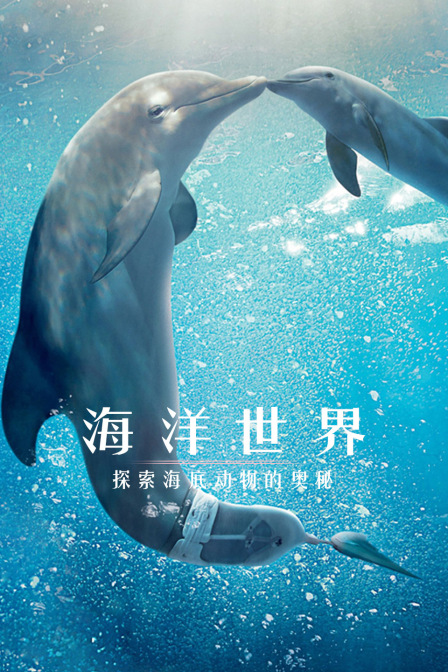 海洋世界:探索海底動物的奧秘(2024)海報